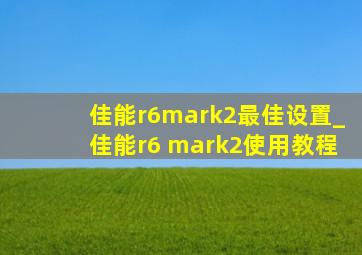 佳能r6mark2最佳设置_佳能r6 mark2使用教程